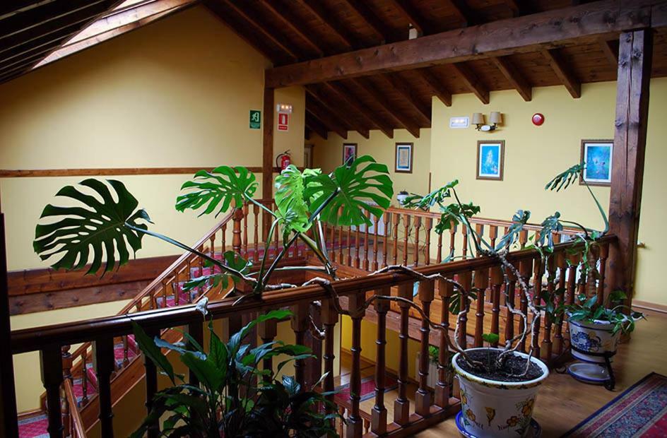 Inn Cabárceno Cabarceno
